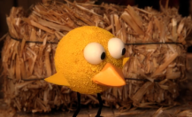 Sesame Workshop – Four Chicks